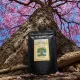 L'Arbre de Vie