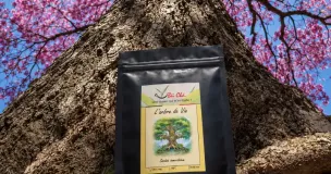 L'Arbre de Vie