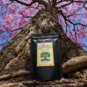 L'Arbre de Vie