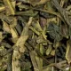 Sencha