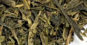 Sencha