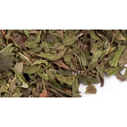 Menthe Nana Menthe Nana