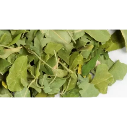 Moringa