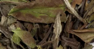 Pai Mu Tan Pai Mu Tan