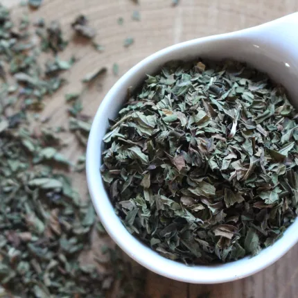 Menthe poivrée