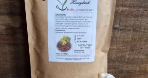 Honeybusch Honeybusch