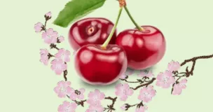 Thé vert, Cerise Thé vert, Cerise