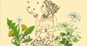 Tisane, "Après-repas"/Soir-Orange Tisane, "Après-repas"/Soir-Orange