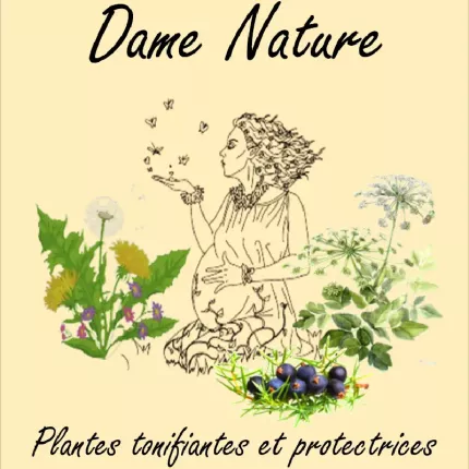 Tisane, "Après-repas"/Soir-Orange Tisane, "Après-repas"/Soir-Orange