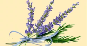 Alpilles -Tisane relaxante et digestive Alpilles -Tisane relaxante et digestive