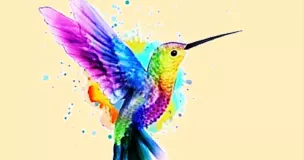 Anti-Fatigue -Tisane VATA Anti-Fatigue -Tisane VATA