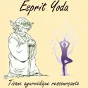 Esprit Yoda -Tisane PITTA