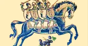 Tisane Bayard - Rooibos, Cassis ... Tisane Bayard - Rooibos, Cassis ...