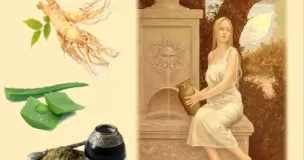 Fontaine de Jouvence -Tisane détox et "anti-âge" Fontaine de Jouvence -Tisane détox et "anti-âge"