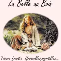 La Belle au Bois -Tisane baies des bois ...