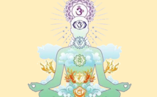 Article:  Tisane des 7 Chakras