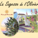 Article :  La sagesse de l'olivier