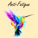 Article :  Anti-Fatigue
