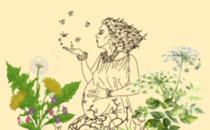 Article :  Dame Nature