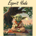 Article :  Esprit Yoda