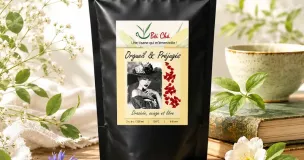 Orgueil et Préjugés