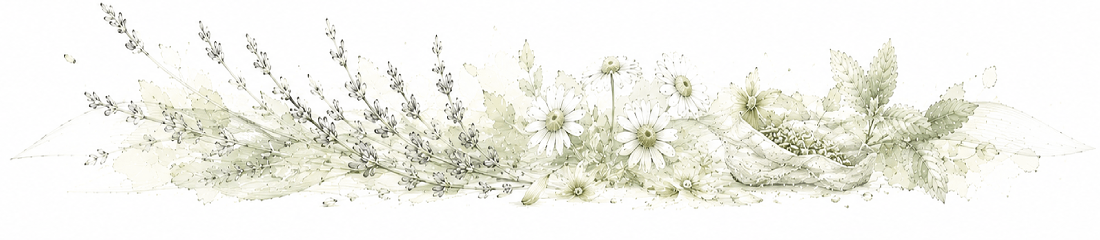 Alp Art 04