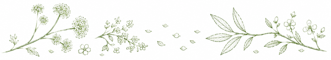 A propos 02
