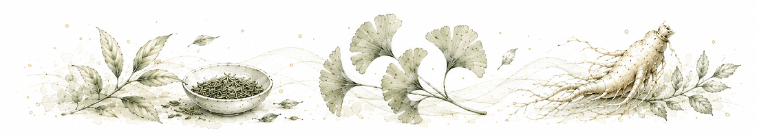Mer Art 01